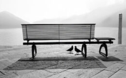 019 - ruhe weite und frei